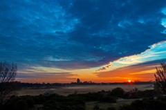 20200409 Meijendel sunrise.jpg